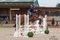 Equiyd National Amateur Second Rounds at Golden Cross Equestrian Centre